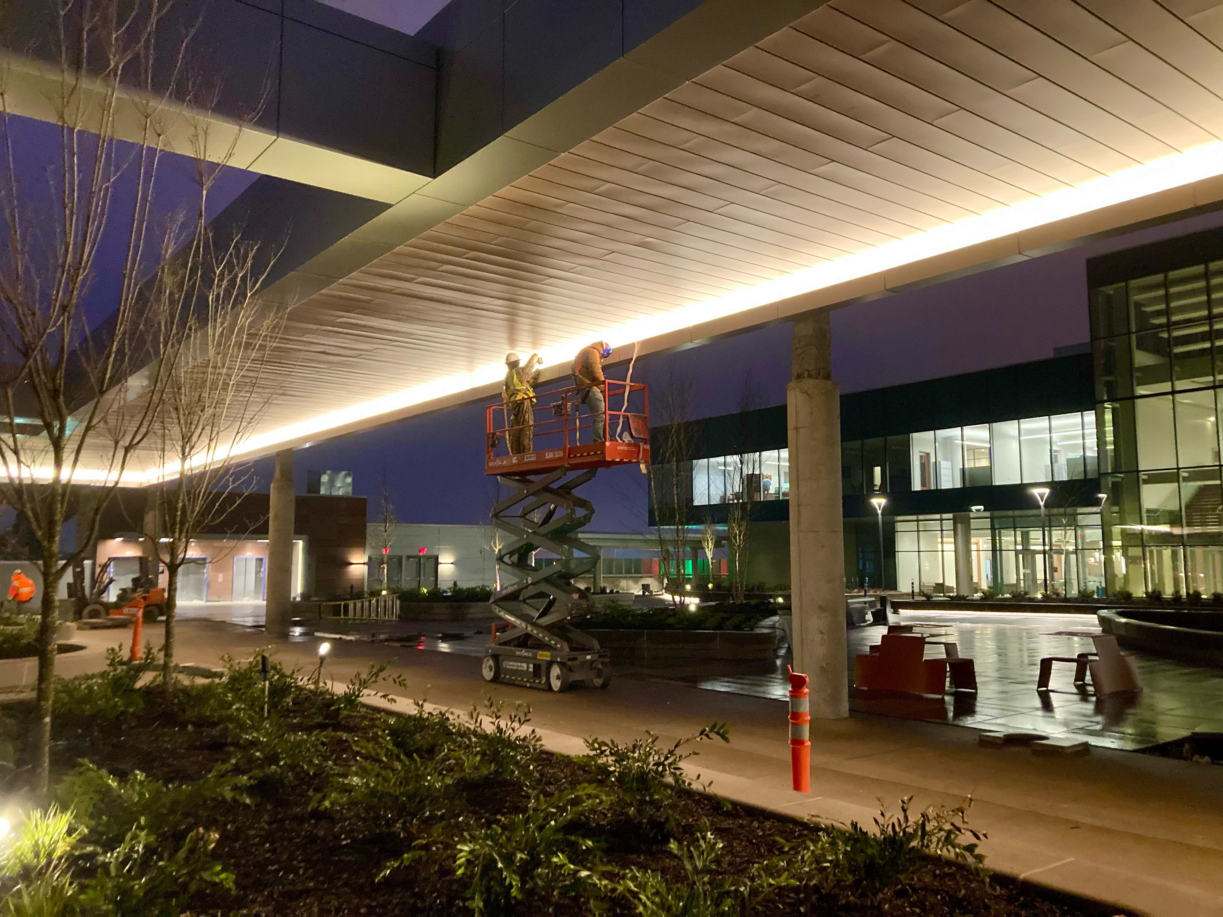 Bird control technician at work